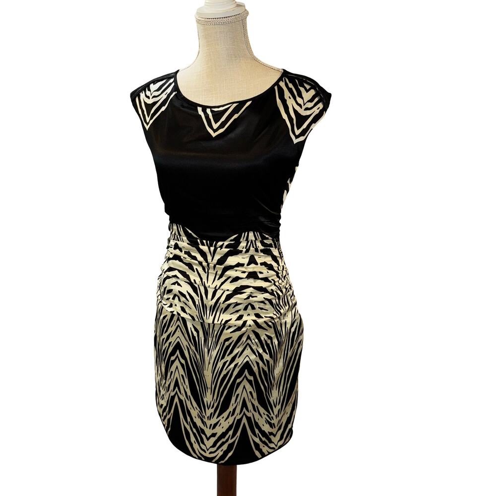 The Limited Sutton Zebra Print Side Zip Lined Sheath Dress Size 2